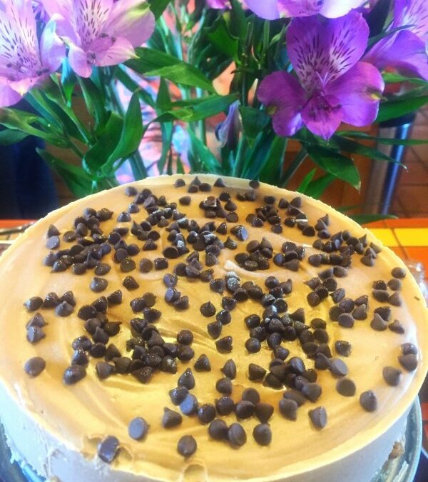 A cheesecake made of cashews, topped with chocolate chips