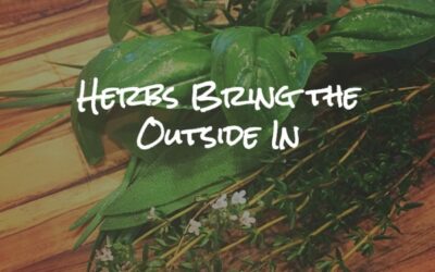 The Truth About Herbs