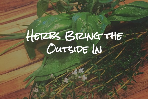 The words "Herbs Bring the Outside In" over some freshly picked herbs