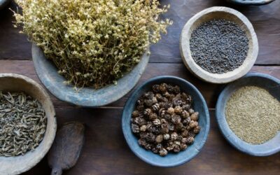 What Can Herbs Really Do to Help Me Feel Better?